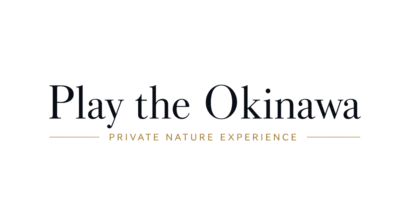 play the okinawa｜沖縄・やんばる自然体験